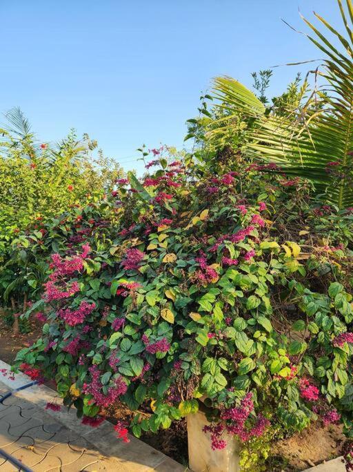 Farmhouse Close To Nature - Kesari Farm جاندي نجر المظهر الخارجي الصورة
